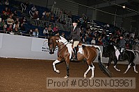08usn-03961 proof