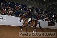 08usn-03963 proof