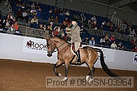 08usn-03964 proof
