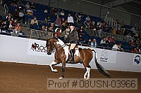 08usn-03966 proof