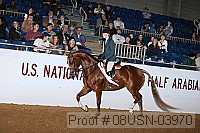 08usn-03970 proof