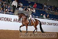 08usn-03973 proof