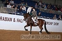 08usn-03974 proof