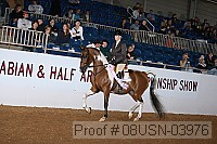 08usn-03976 proof
