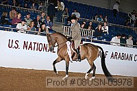 08usn-03978 proof