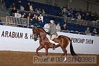 08usn-03981 proof