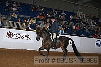 08usn-03986 proof