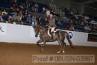 08usn-03987 proof