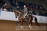 08usn-03991 proof