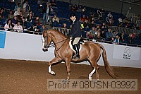 08usn-03992 proof
