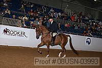 08usn-03993 proof