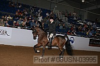 08usn-03995 proof