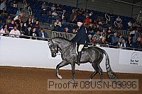 08usn-03996 proof