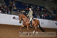 08usn-03998 proof