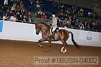 08usn-04002 proof