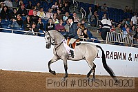 08usn-04020 proof
