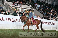 08usn-17273 proof