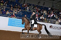08usn-01833 proof