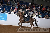 08usn-01843 proof