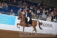 08usn-01851 proof