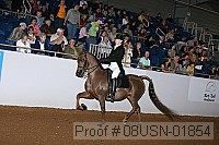 08usn-01854 proof
