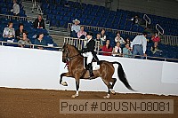 08usn-08081 proof