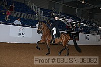 08usn-08082 proof