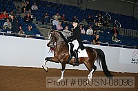 08usn-08098 proof