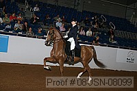 08usn-08099 proof