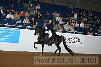 08usn-08101 proof