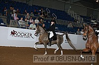 08usn-08103 proof