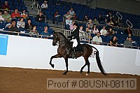 08usn-08110 proof