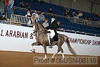 08usn-08118 proof
