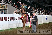 08usn-14457 proof