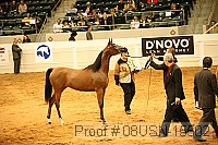 08usn-15502 proof