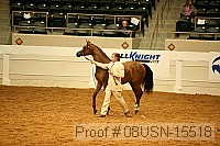 08usn-15518 proof