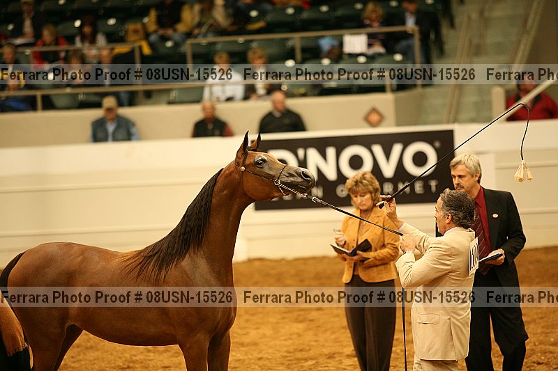Proof 08usn-15526