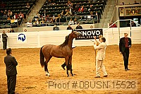 08usn-15528 proof