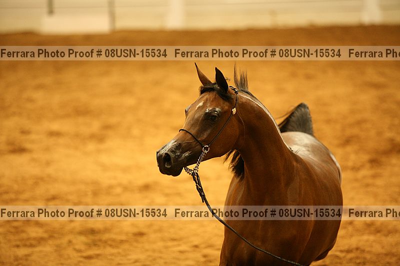 Proof 08usn-15534