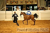 08usn-15535 proof