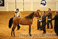 08usn-15541 proof