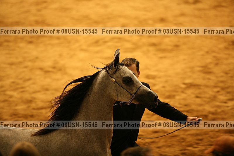 Proof 08usn-15545
