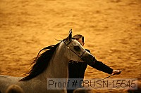 08usn-15545 proof