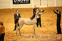 08usn-15547 proof