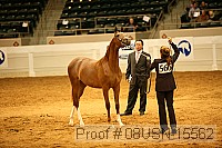 08usn-15562 proof