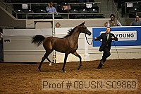 08usn-s09869 proof