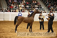 08usn-s09871 proof