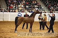 08usn-s09872 proof