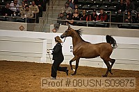 08usn-s09875 proof