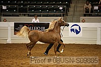 08usn-s09885 proof